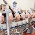 Embargo chinês derruba em 99% os embarques de frango brasileiro no segundo semestre
