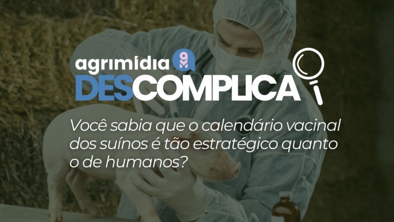 Você sabia que o calendário vacinal dos suínos é tão estratégico quanto o de humanos? Você sabia que o calendário vacinal dos suínos é tão estratégico quanto o de humanos?