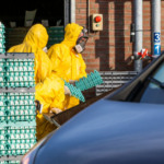 Alerta vermelho na Europa: Avanço rápido da Influenza Aviária força confinamento em múltiplos países