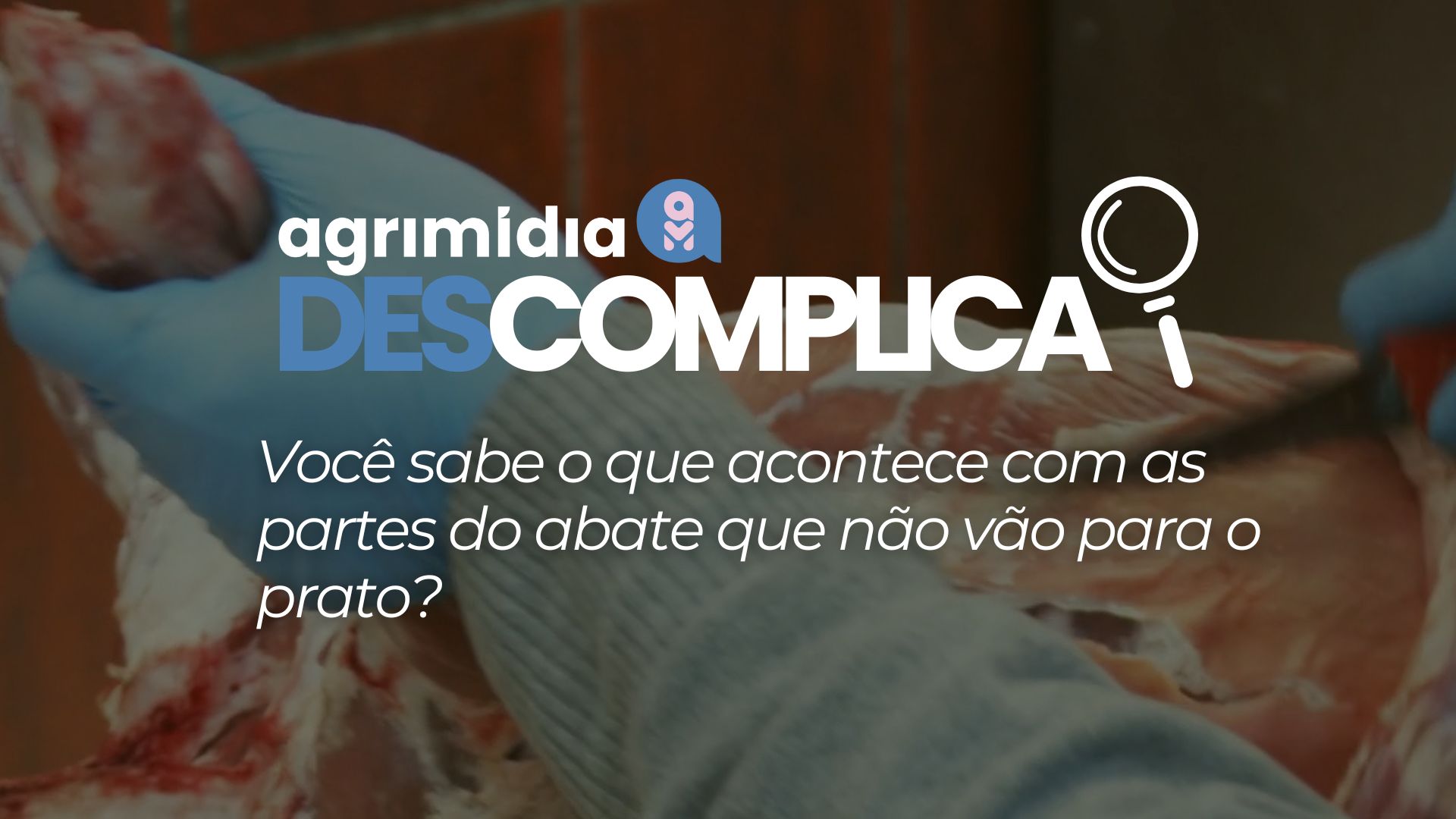 Você sabe o que acontece com as partes do abate que não vão para o prato?