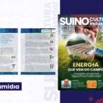 7 Dicas Práticas da edição de novembro da Suinocultura Industrial: Como maximizar o ganho genético das fêmeas nos núcleos de produção 