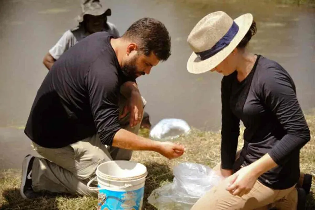 Pesquisador de Juiz de Fora (MG) leva aquicultura sustentável para debate na COP 30 Pesquisador de Juiz de Fora (MG) leva aquicultura sustentável para debate na COP 30