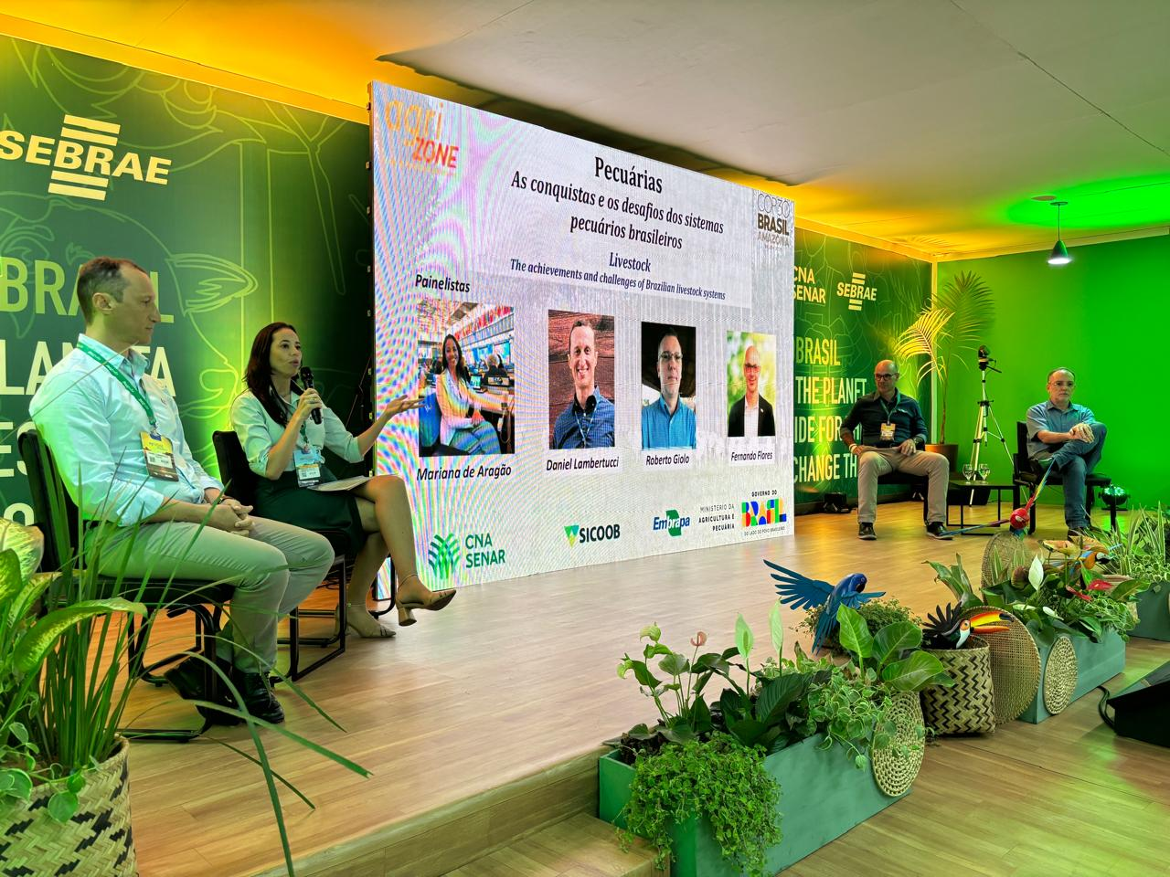 Embrapa posiciona pecuária tropical brasileira como solução climática na COP30