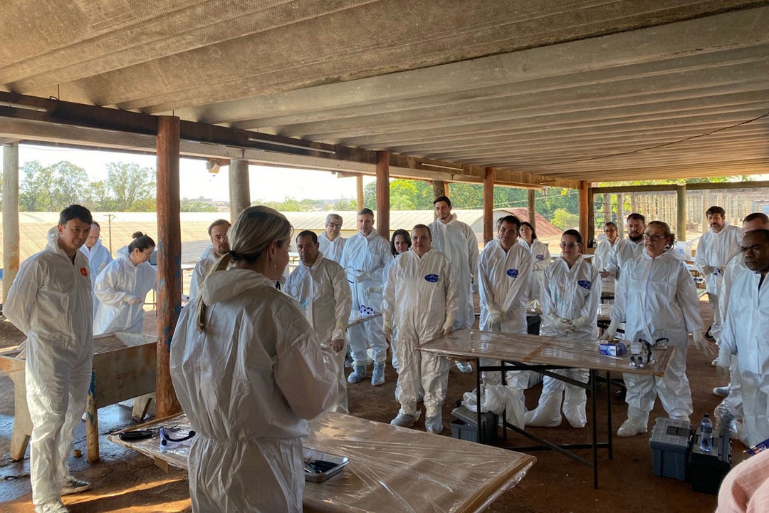 Paraná treina 270 profissionais para emergências na avicultura