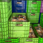 Mapa realiza operação de combate ao abate clandestino de aves no Ceará