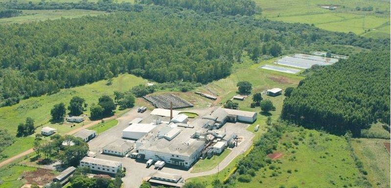 Frigoestrela mira R$ 5,1 bilhões em receita em 2026 com foco acelerado em exportação, impulsionando suínos Frigoestrela mira R$ 5,1 bilhões em receita em 2026 com foco acelerado em exportação, impulsionando suínos