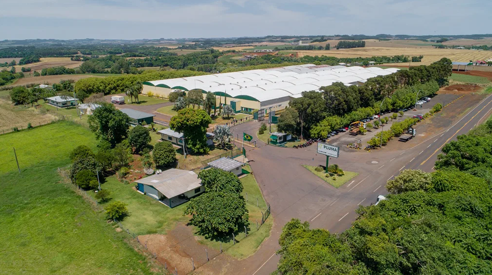 Pluma Agroavícola anuncia expansão robusta com mais de 1.500 empregos, 185 granjas e atuação nacional