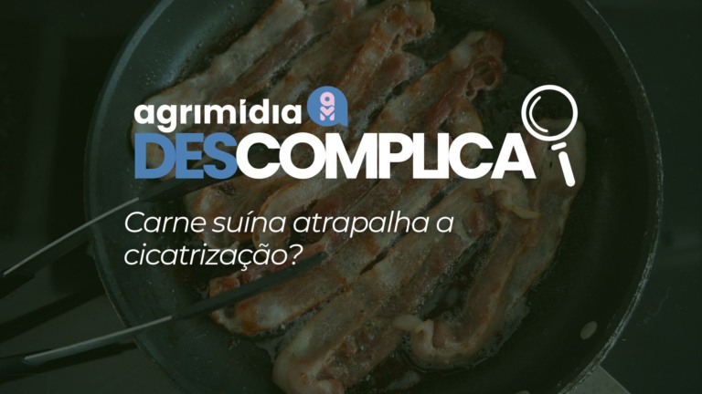 Carne suína atrapalha a cicatrização? Carne suína atrapalha a cicatrização?