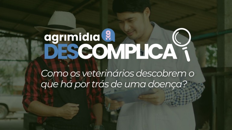 Como os veterinários descobrem o que há por trás de uma doença? Como os veterinários descobrem o que há por trás de uma doença?