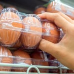 Preços dos ovos acumulam quedas em dezembro e atingem menor patamar real desde 2022