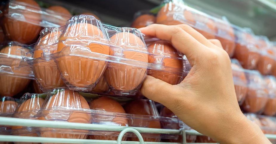 Preços dos ovos acumulam quedas em dezembro e atingem menor patamar real desde 2022