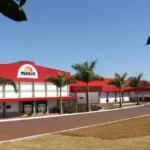 Aurora Coop e Cooperalfa reúnem 450 produtores para debater eficiência e sanidade na suinocultura Aurora Coop e Cooperalfa reúnem 450 produtores para debater eficiência e sanidade na suinocultura