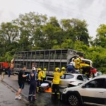 Colisão múltipla na BR-282 envolve caminhão de suínos e deixa feridos