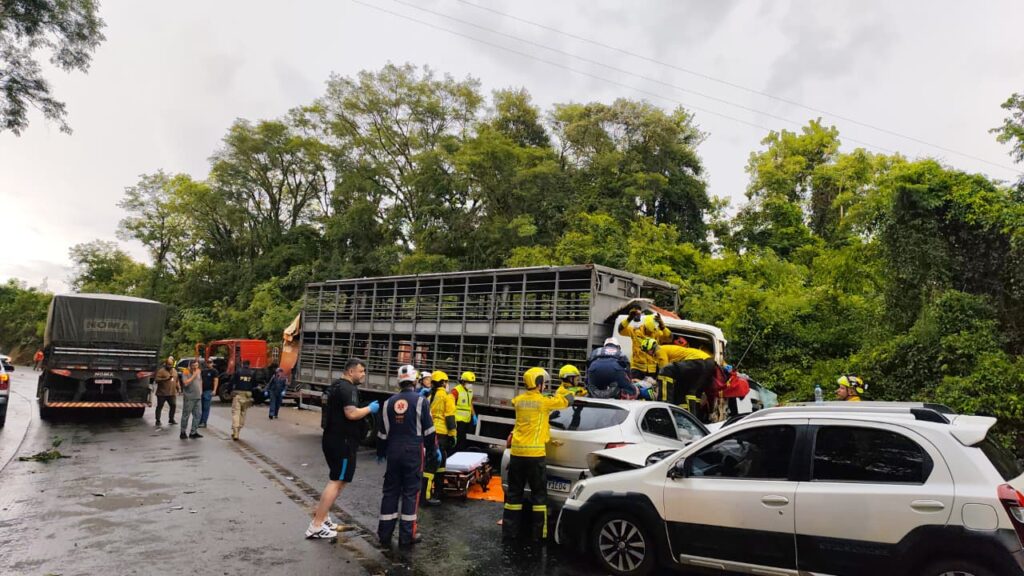 Colisão múltipla na BR-282 envolve caminhão de suínos e deixa feridos