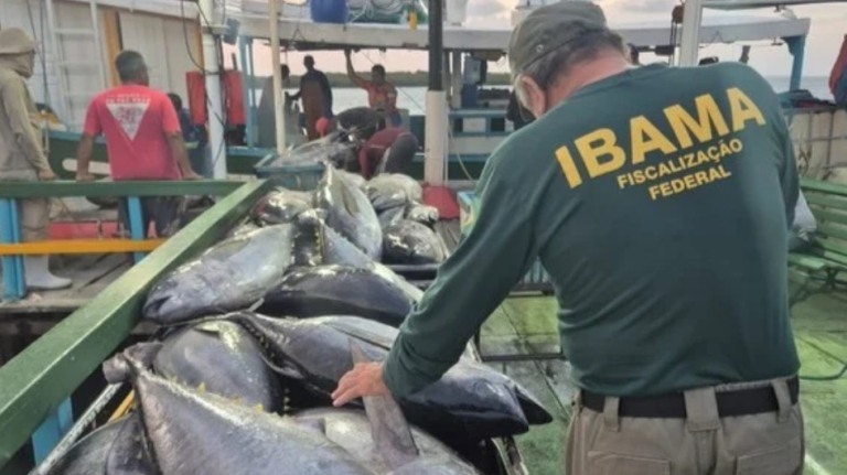 Ibama apreende mais de 2 toneladas de pescado e aplica R$ 122 mil em multas no Rio Grande do Norte Ibama apreende mais de 2 toneladas de pescado e aplica R$ 122 mil em multas no Rio Grande do Norte