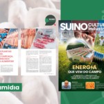 Gestão em Plantas Frigoríficas e Segurança Alimentar na Suinocultura Industrial de Novembro Gestão em Plantas Frigoríficas e Segurança Alimentar na Suinocultura Industrial de Novembro