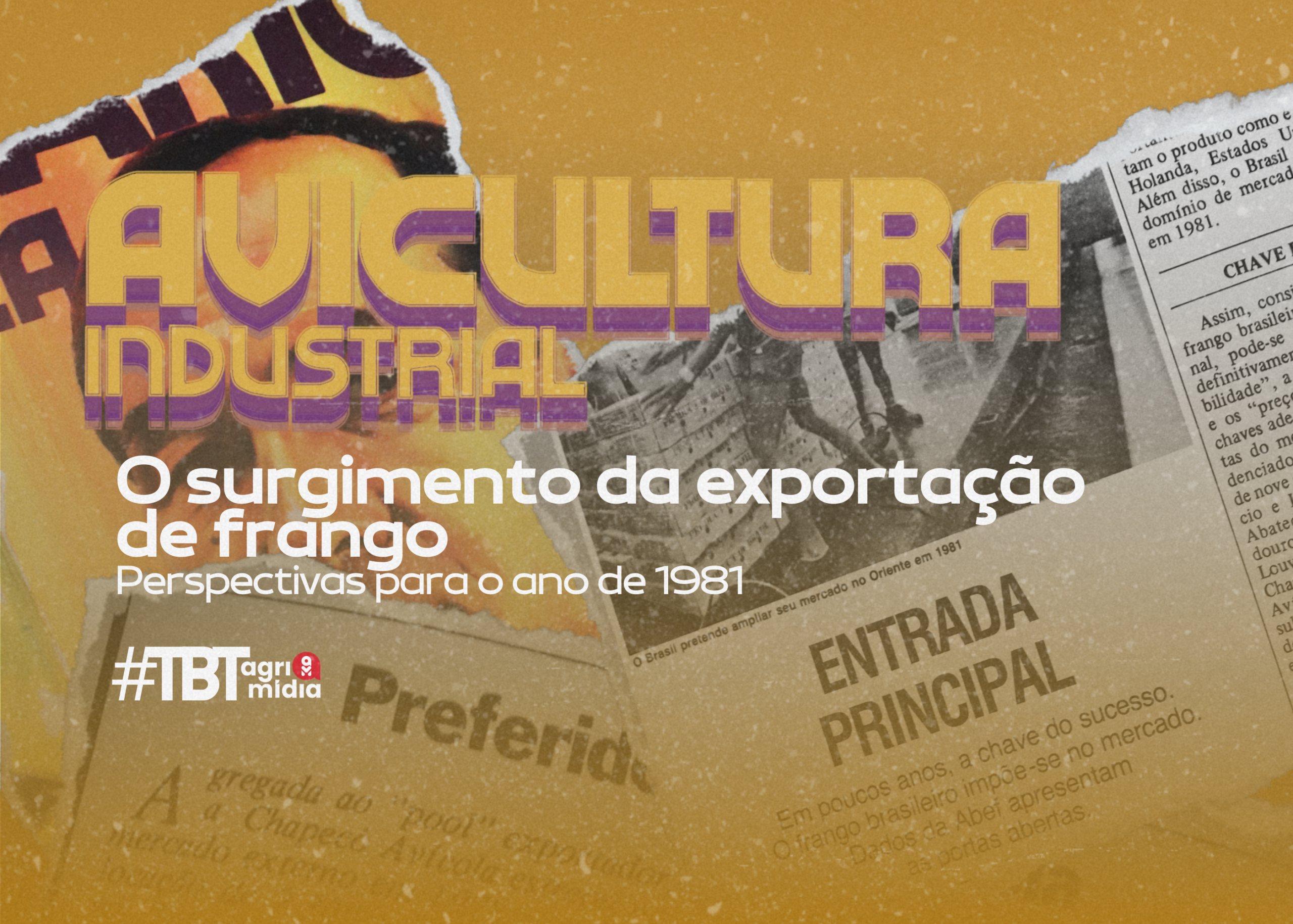 #TBTAgrimídia: Perspectivas no setor avícola na década de 80 #TBTAgrimídia: Perspectivas no setor avícola na década de 80