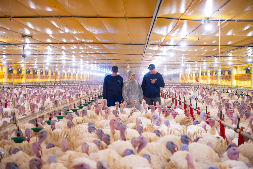 MBRF passa a integrar o Índice Carbono Eficiente da B3 em 2026