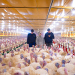 MBRF passa a integrar o Índice Carbono Eficiente da B3 em 2026