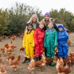 Programa infantil coloca crianças no centro da avicultura caipira e do bem-estar animal no Reino Unido Programa infantil coloca crianças no centro da avicultura caipira e do bem-estar animal no Reino Unido