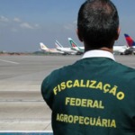 Fiscalização agropecuária: novas regras para ingresso de produtos de origem animal e insumos no Brasil Fiscalização agropecuária: novas regras para ingresso de produtos de origem animal e insumos no Brasil