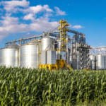 Investimentos de R$ 60 bilhões reforçam a expansão da agroindústria em 2025