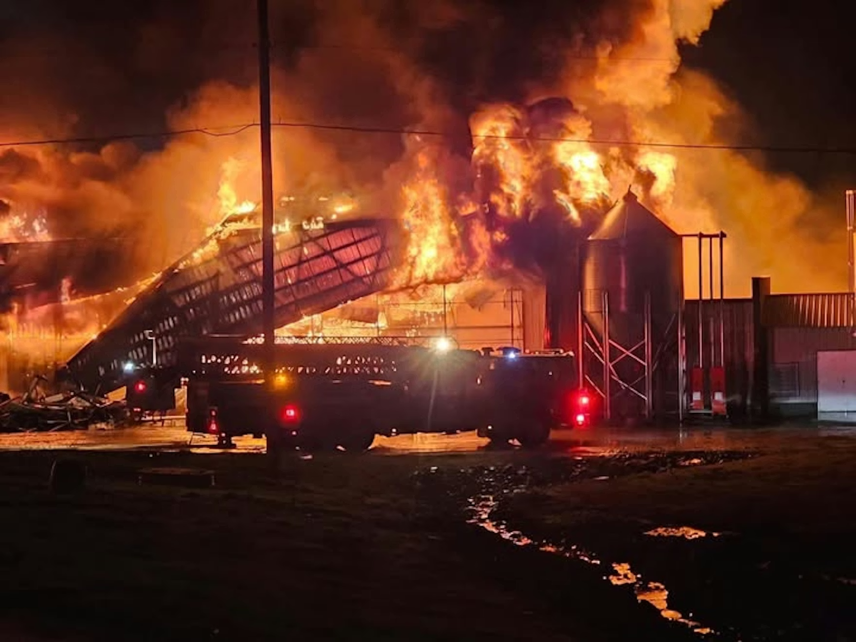 Impacto americano: incêndio atinge produção de ovos na Carolina do Norte (EUA) e provoca morte de 85 mil aves