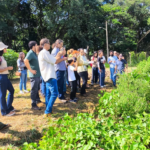 Dia de Campo da Embrapa destaca plantas alimentícias não convencionais como alternativa sustentável Dia de Campo da Embrapa destaca plantas alimentícias não convencionais como alternativa sustentável