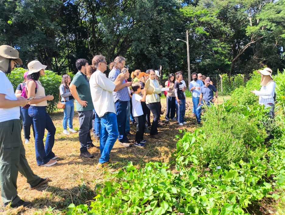 Dia de Campo da Embrapa destaca plantas alimentícias não convencionais como alternativa sustentável Dia de Campo da Embrapa destaca plantas alimentícias não convencionais como alternativa sustentável