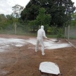 Indea-MT controla foco de Influenza Aviária em Acorizal e realiza abate sanitário de mais de 300 aves