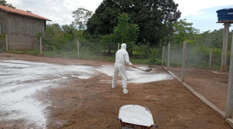 Indea-MT controla foco de Influenza Aviária em Acorizal e realiza abate sanitário de mais de 300 aves