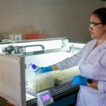 Convocação de novos pesquisadores fortalece institutos de pesquisa agropecuária de São Paulo