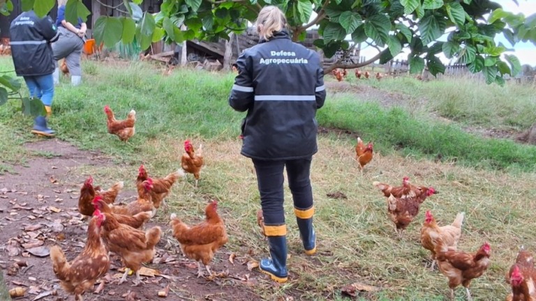 Foto: Ascom Seapi Foto: Ascom Seapi