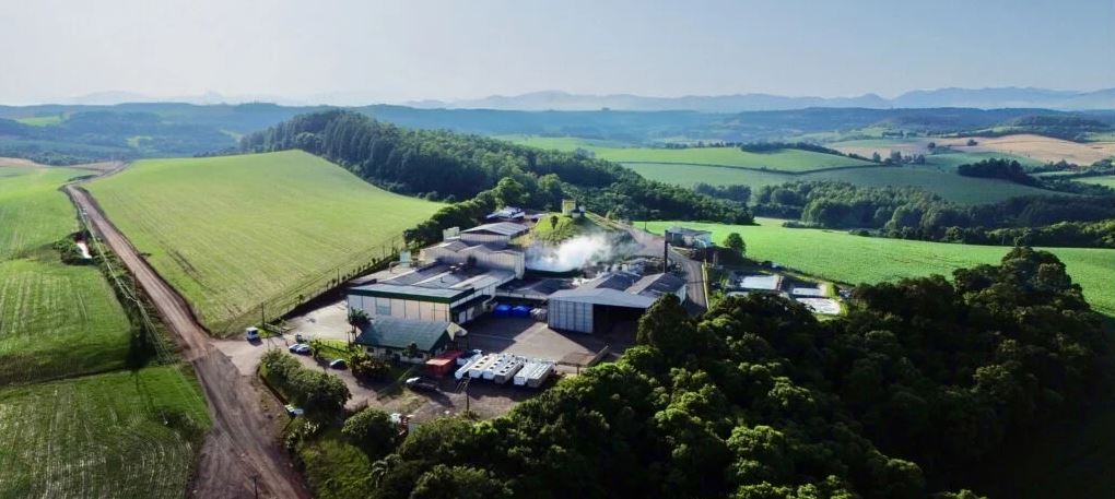 Somave Alimentos cresce 3x em ingredientes de origem animal com aquisição estratégica Somave Alimentos cresce 3x em ingredientes de origem animal com aquisição estratégica