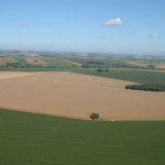 C.Vale alcança recorde histórico e recebe 6,56 milhões de toneladas de grãos em 2025