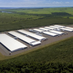 Chile habilita Núcleo Genético Gênesis para exportação de suínos de reprodução