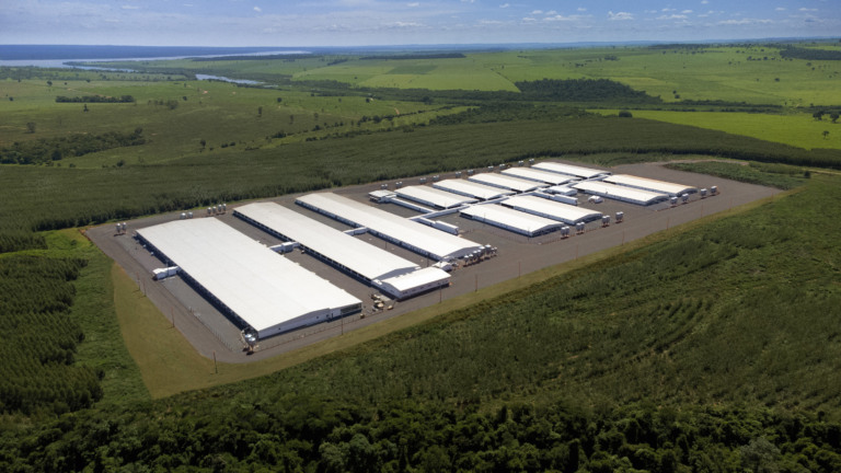 Chile habilita Núcleo Genético Gênesis para exportação de suínos de reprodução