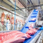 Produtividade real da suinocultura, cenário de preços e alerta sobre carne suína geneticamente editada Produtividade real da suinocultura, cenário de preços e alerta sobre carne suína geneticamente editada